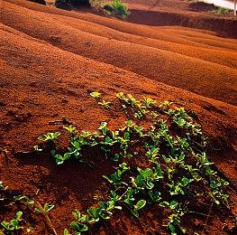 TEAM17将发行格斗类合作游戏《英勇无厌》